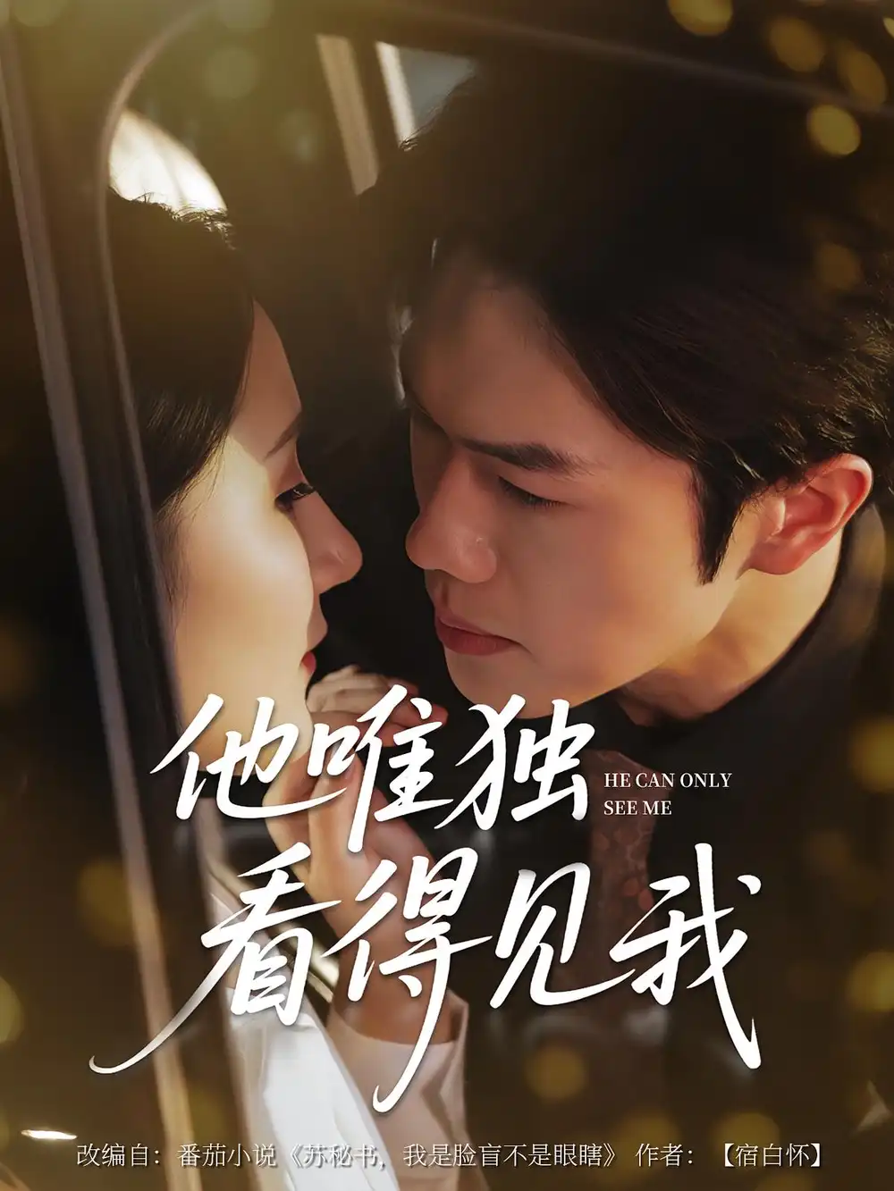 他唯独看见我（80集）海报