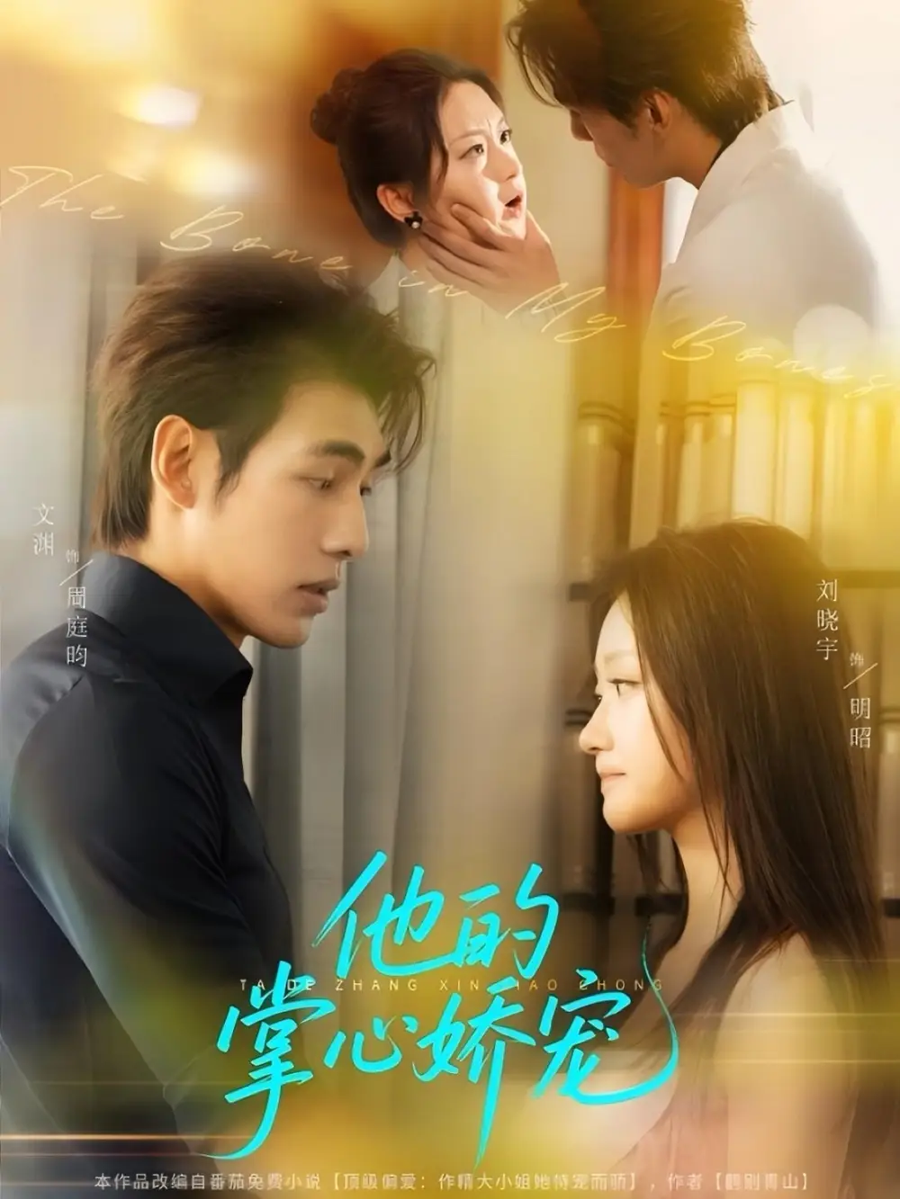他的掌心娇宠（60集）文渊＆刘晓宇海报
