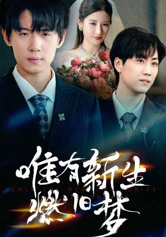 唯有新生燃旧梦（55集）海报