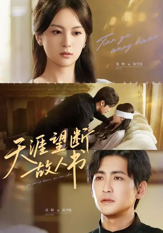 天涯望断故人书（60集）海报