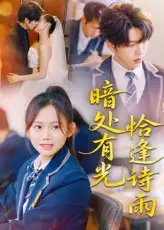 暗处有光恰逢诗雨（70集）黄曼虹&向帅海报