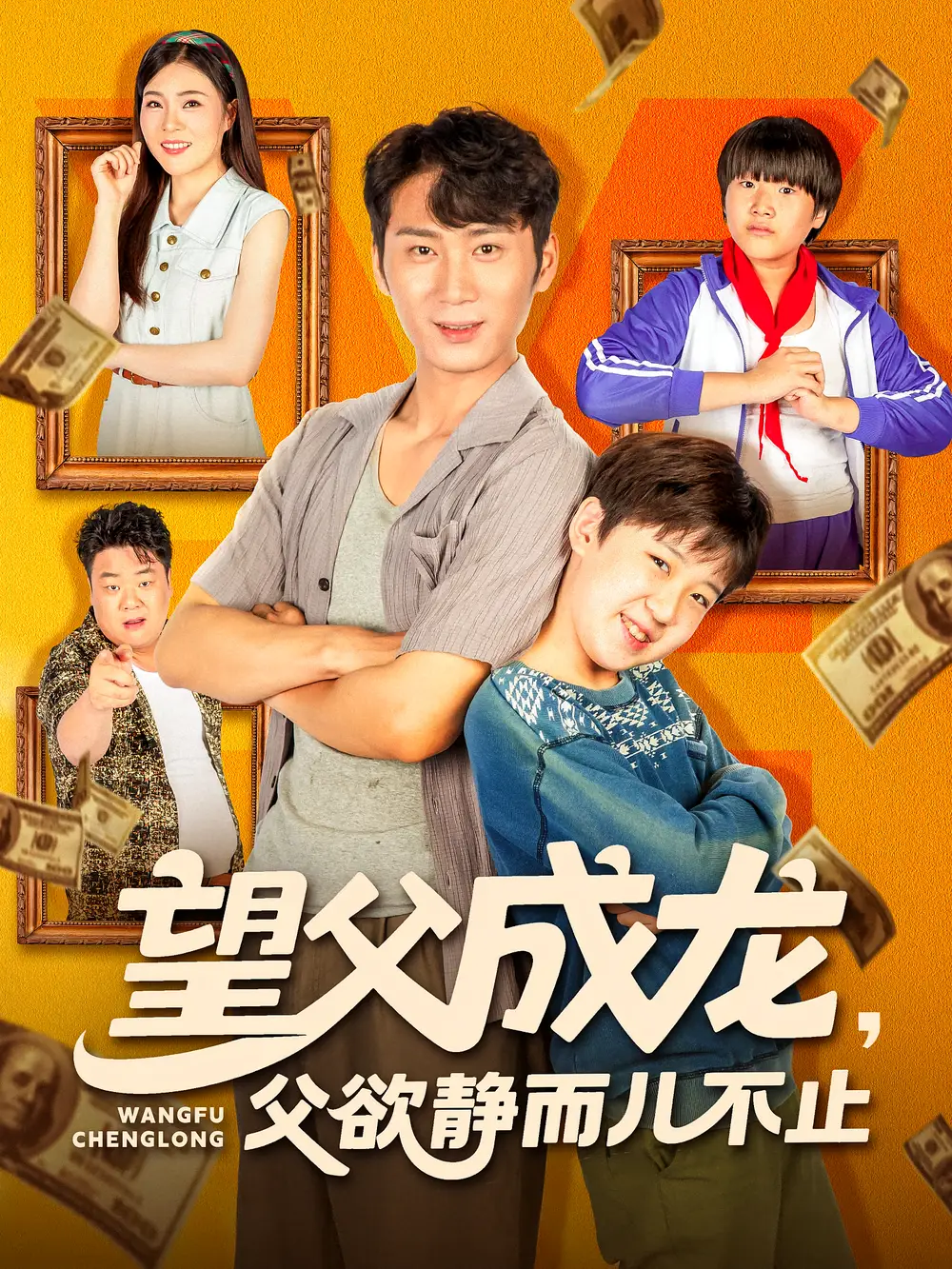 望父成龙父欲静而儿不止（78集）海报