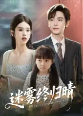 迷雾终归晴（45集）海报
