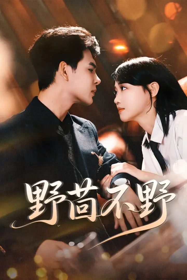 野茴不野（67集）靳旺＆龚芳妮海报