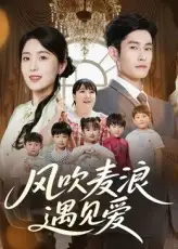 风吹麦浪遇见爱（70集）海报