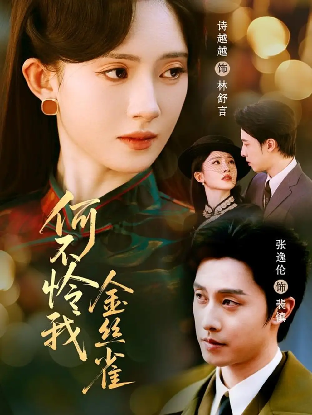 短剧《何不怜我金丝雀》高清完整版全集免费在线观看