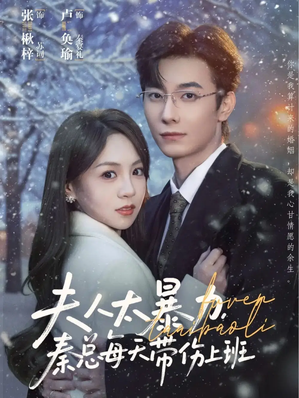 夫人太暴力，秦总每天带伤上班（80集）卢奂瑜＆张楸梓海报