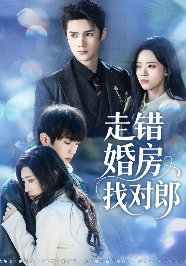 走错婚房找对郎（50集）刘辰锐＆刘艺然海报