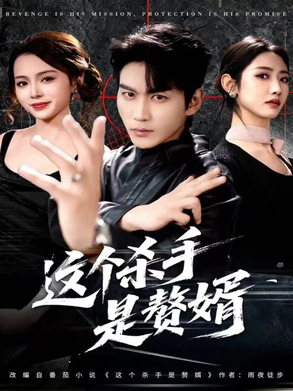 短剧《这个杀手是赘婿》在线免费观看全集