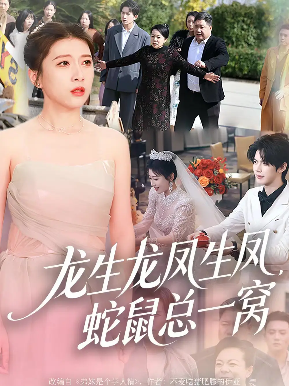 龙生龙凤生凤,蛇鼠总一窝(60集)曹淼&牛韵暄高清海报图片 龙生龙凤生凤,蛇鼠总一窝(60集)曹淼&牛韵暄海报