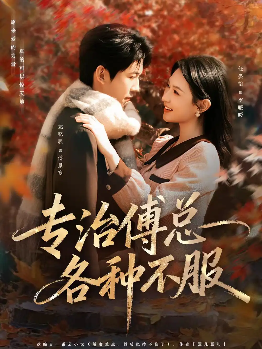 短剧《专治傅总各种不服》免费播放完整版