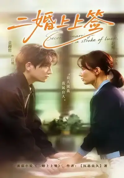 短剧《二婚上上签》免费观看高清版