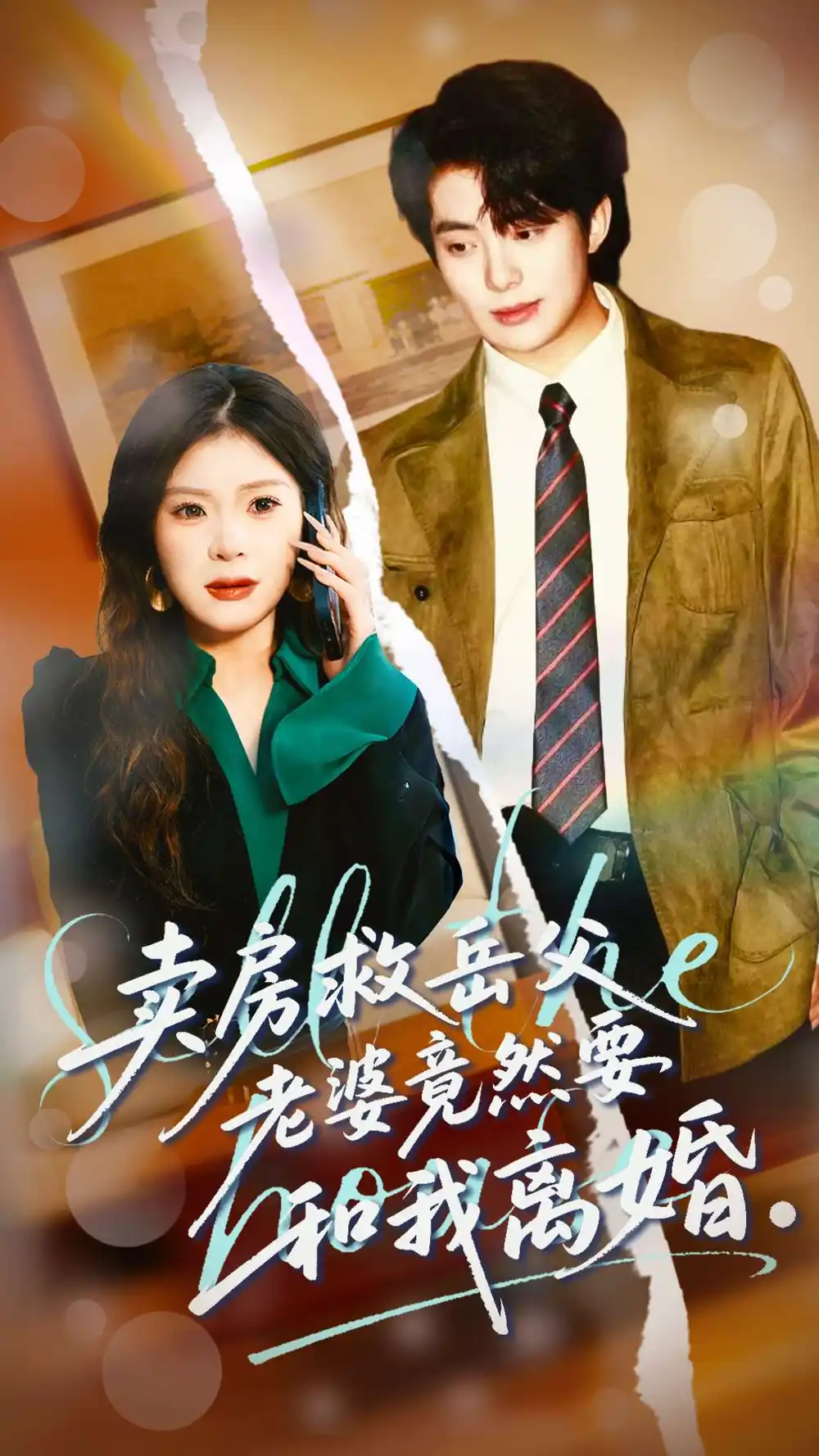 卖房救岳父，老婆竟然要和我离婚（66集）孔雯雯＆赵宏甲海报