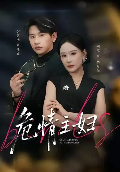 危情主妇（60集）刘晗&张恩浩&邱潇海报