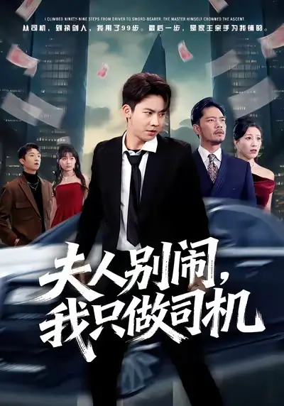 短剧《夫人别闹，我只做司机》夸克资源免费在线观看全集