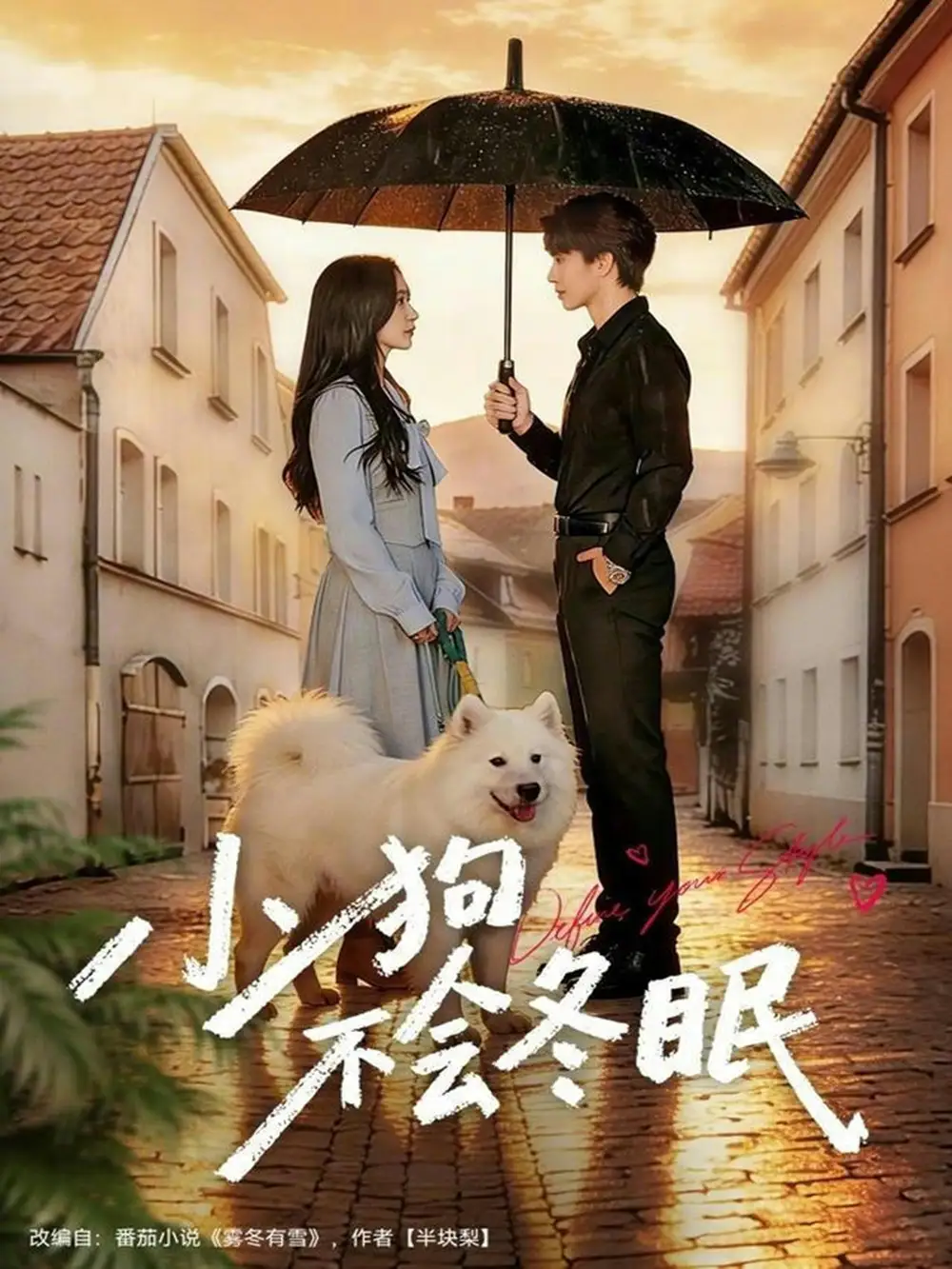 小狗不会冬眠（70集）张皓文＆乔槿海报