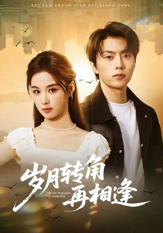 短剧《岁月转角再相逢》免费播放完整版