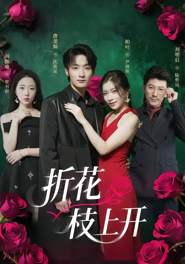 折花枝上开（51集）唐龙灿＆柏叶海报