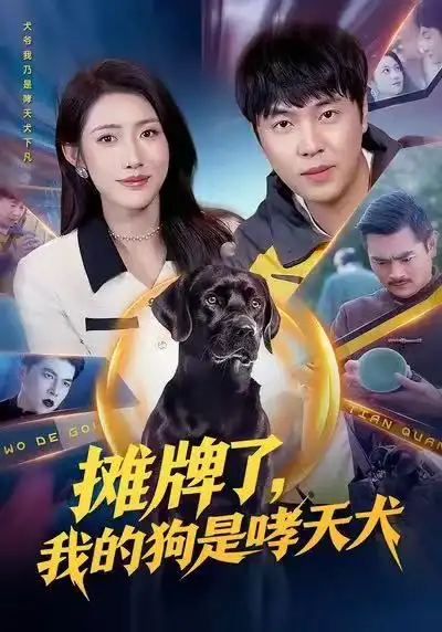 短剧《摊牌了，我的狗是哮天犬》免费观看高清版