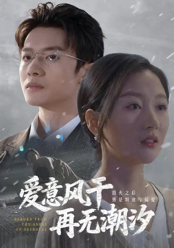 短剧《爱意风干再无潮汐》免费在线观看完整版