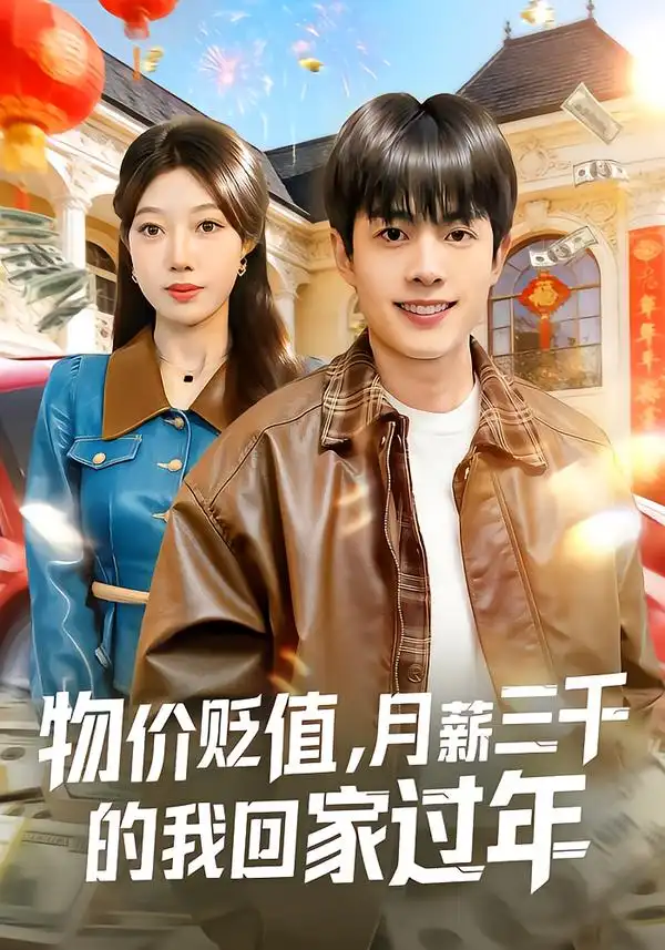 物价贬值，月薪三千的我回家过年（80集）陶栩棋&史恒玮海报