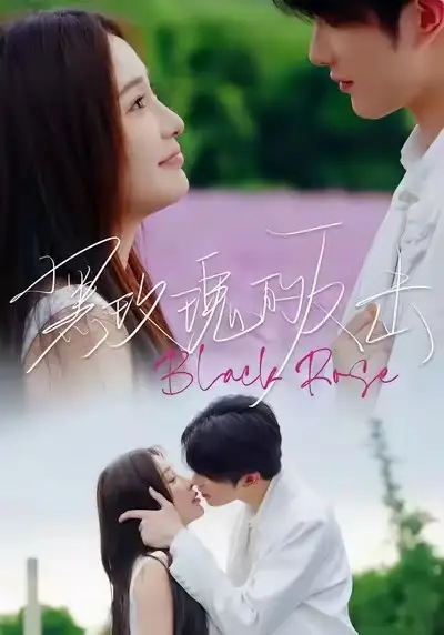 短剧《黑玫瑰的反击》在线免费观看全集